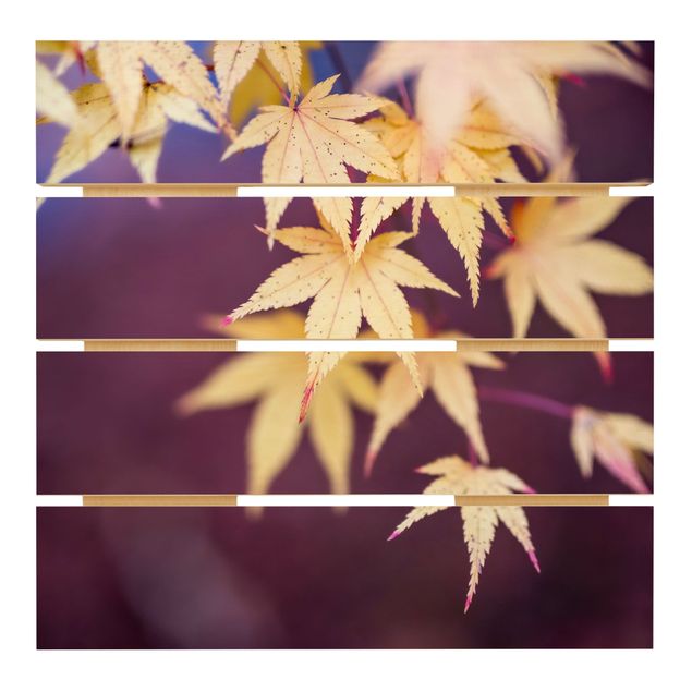 cuadros de madera decorativos Autumn Maple Tree