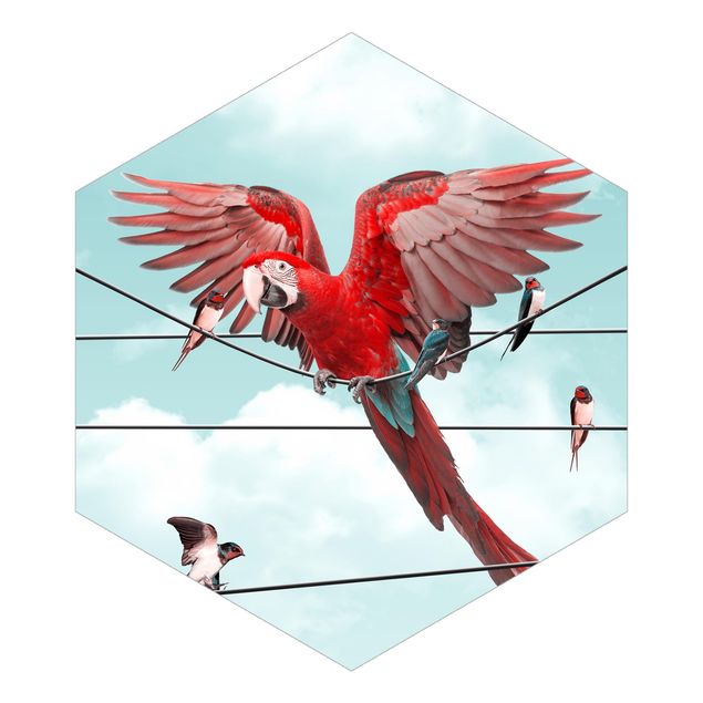 Papel pintado animales Sky With Birds