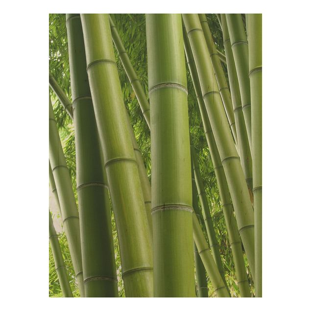 Cuadros de madera flores Bamboo Trees No.1