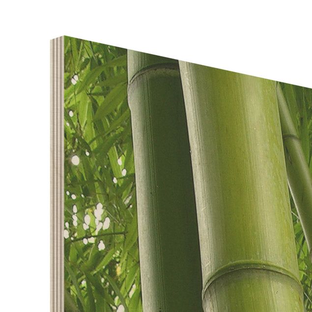 Cuadros en madera Bamboo Trees No.1