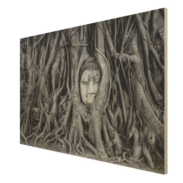 Cuadros de madera flores Buddha In Ayutthaya Lined From Tree Roots In Black And White