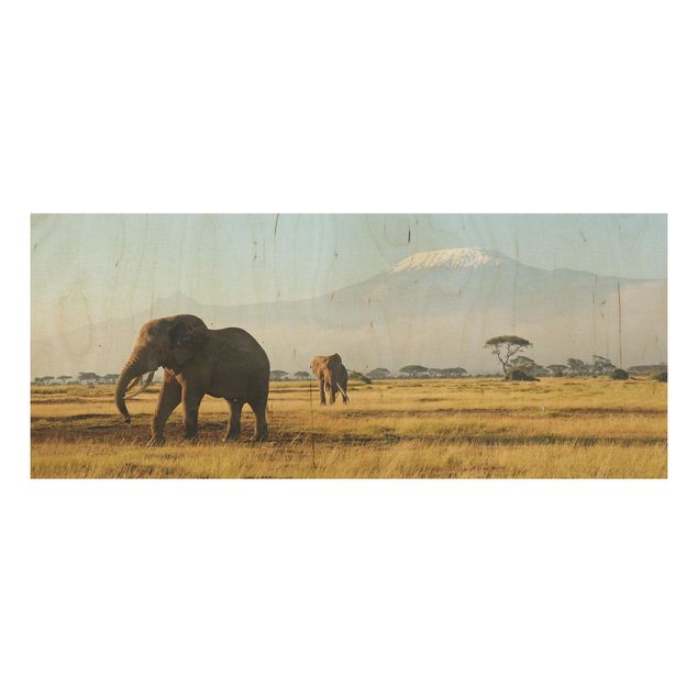 Cuadros de madera paisajes Elephants In Front Of The Kilimanjaro In Kenya