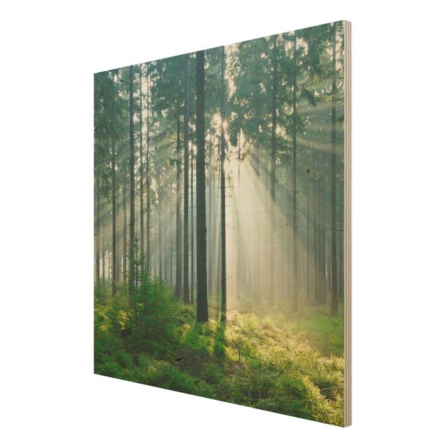 Cuadros de madera paisajes Enlightened Forest