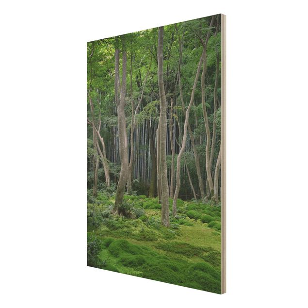 Cuadros de madera paisajes Japanese Forest