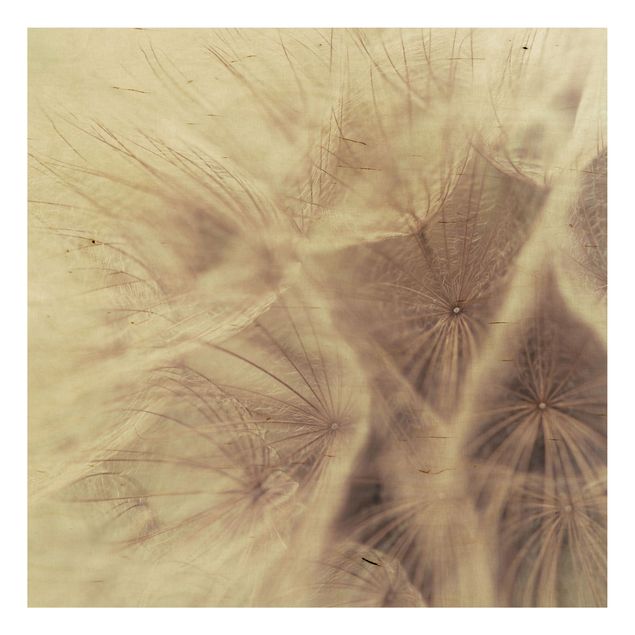 Cuadros de madera flores Detailed Dandelion Macro Shot With Vintage Blur Effect