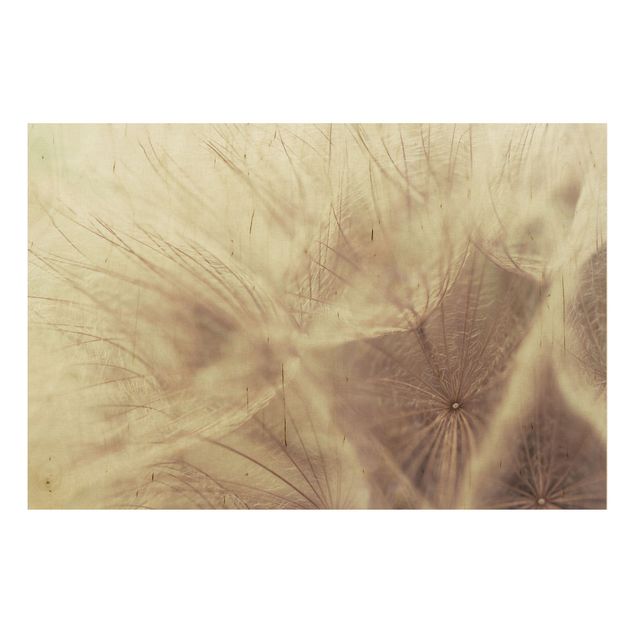 Cuadros de madera flores Detailed Dandelion Macro Shot With Vintage Blur Effect
