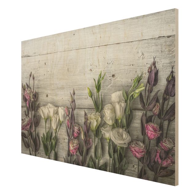 Cuadros decorativos Tulip Rose Shabby Wood Look