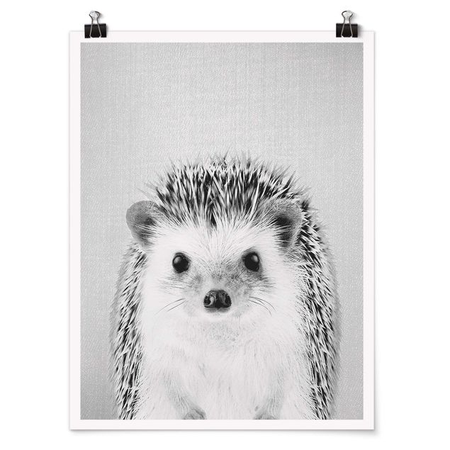 Póster animales Hedgehog Ingolf Black And White