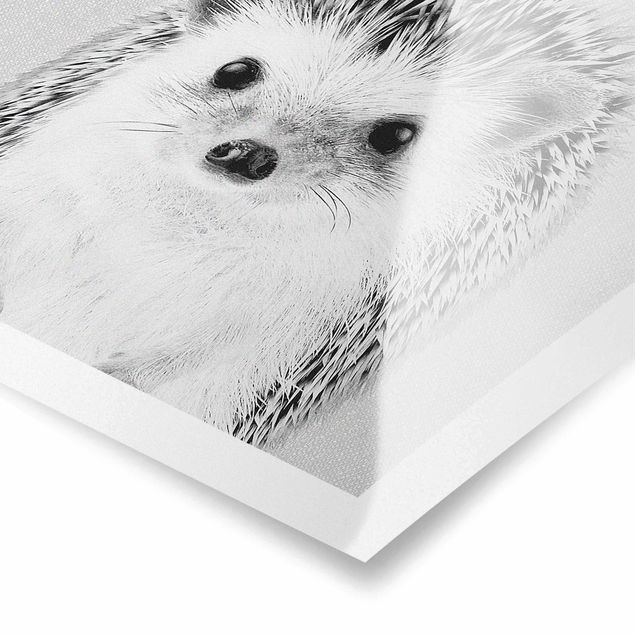 Cuadros en blanco y negro Hedgehog Ingolf Black And White