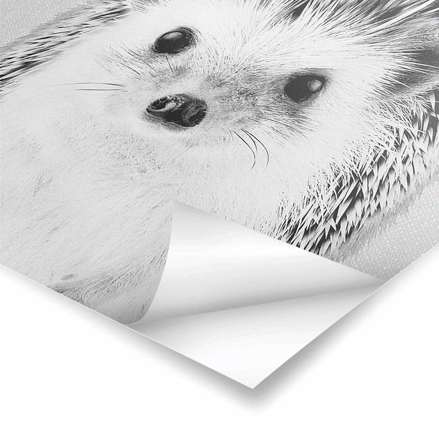 Cuadros de Gal Design Hedgehog Ingolf Black And White
