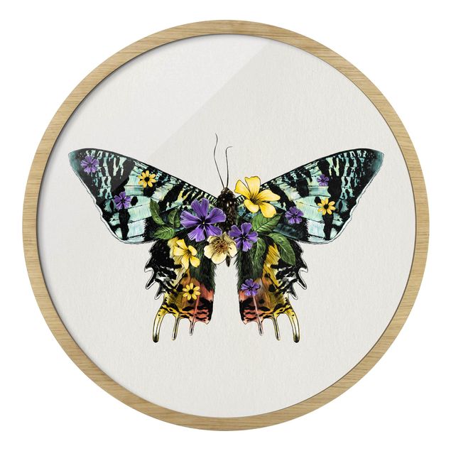 Cuadro multicolor Illustration Floral Madagascan Butterfly