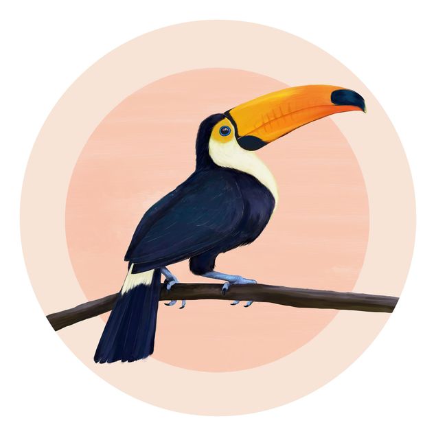 Papel pintado animales Illustration Bird Toucan Painting Pastel
