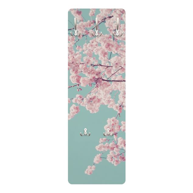 Cuadros de Monika Strigel Japanese Cherry Blossoms