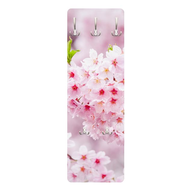 Percha pared Japanese Cherry Blossoms
