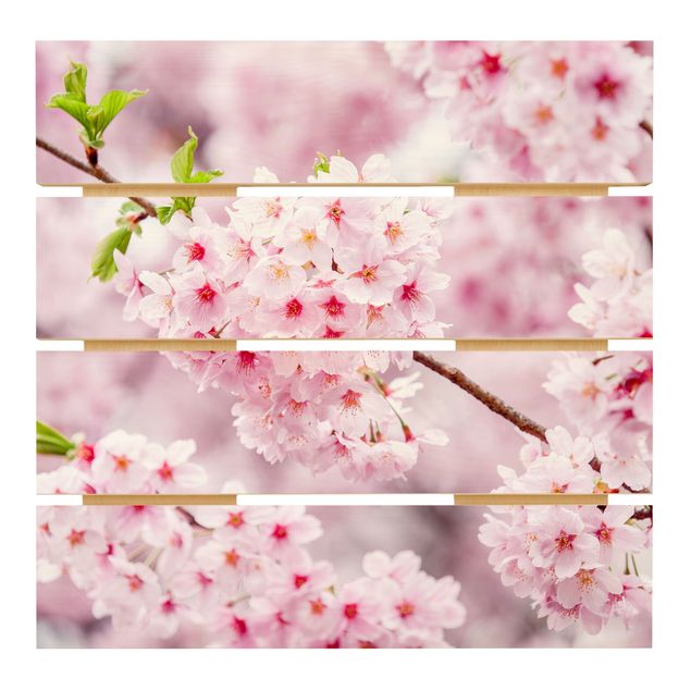 cuadros de madera decorativos Japanese Cherry Blossoms