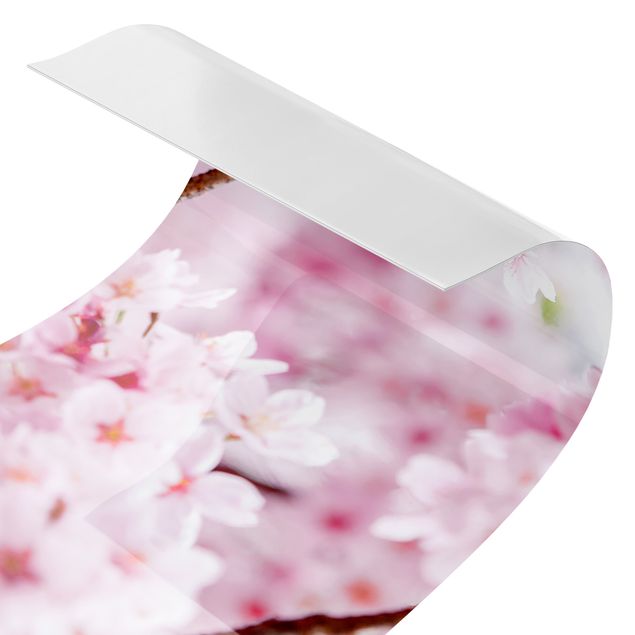 revestimiento pared cocina Japanese Cherry Blossoms