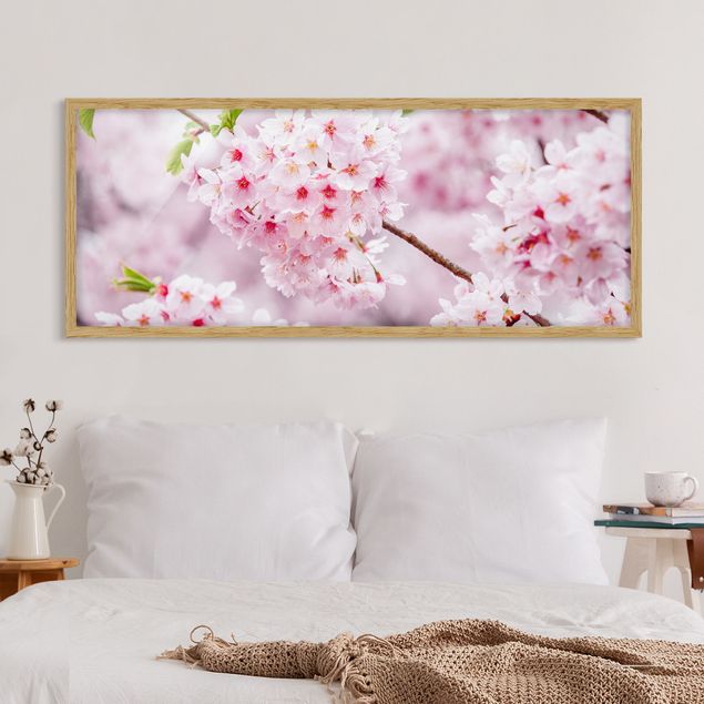 Cuadros de Asia Japanese Cherry Blossoms