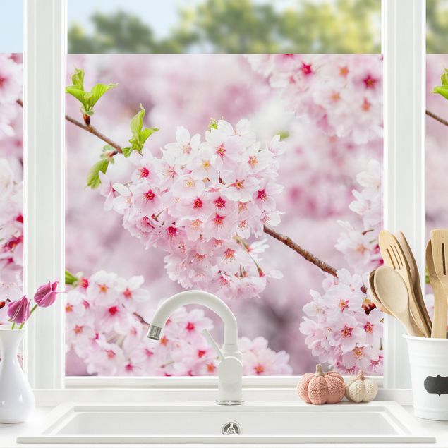 Vinilos de flores para cristales Japanese Cherry Blossoms