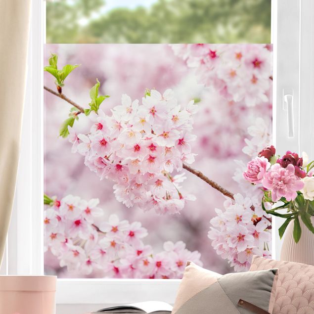 Láminas adhesivas Japanese Cherry Blossoms