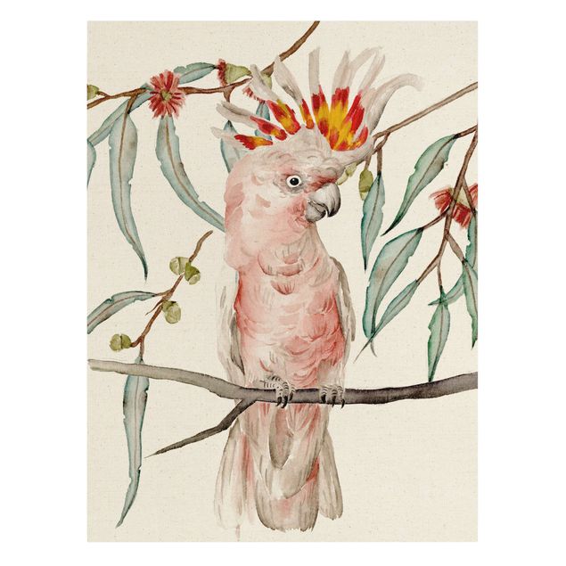 Cuadros de flores modernos Cockatoo With Pink Feathers