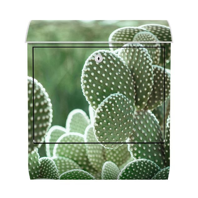 Buzón verde Cacti
