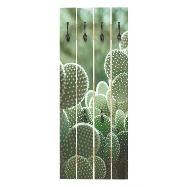 Percha pared Cacti
