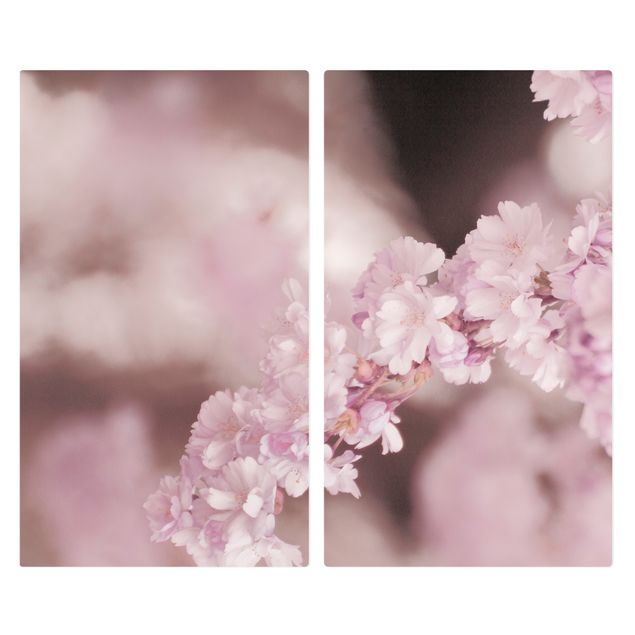 Protector vitroceramica Cherry Blossoms In Purple Light