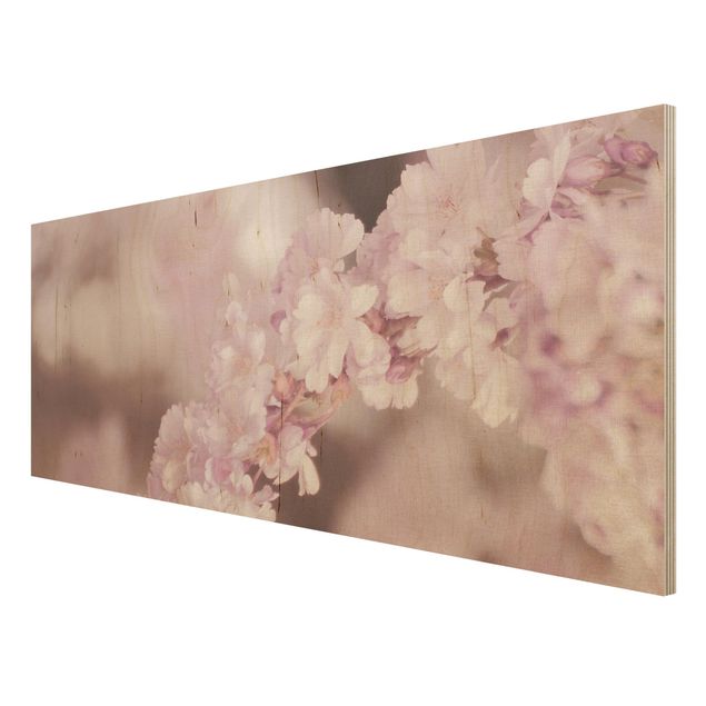 Cuadros de Monika Strigel Cherry Blossoms In Purple Light