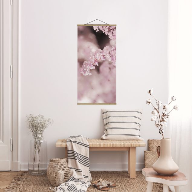 Cuadros de flores Cherry Blossoms In Purple Light