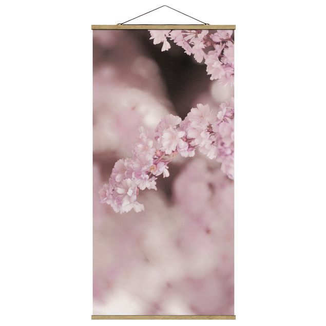 Cuadros modernos Cherry Blossoms In Purple Light