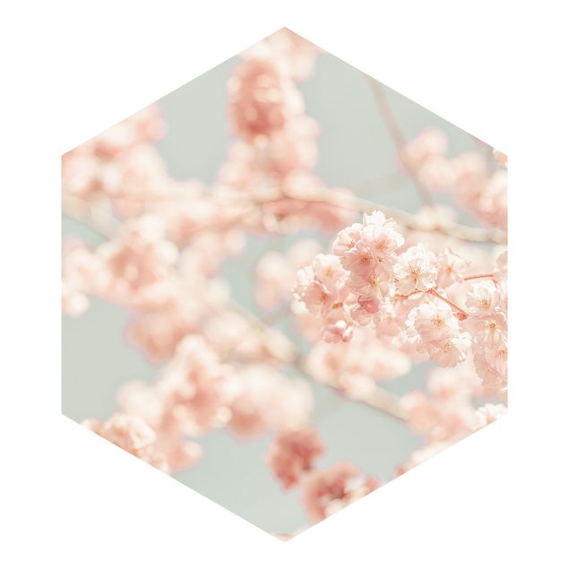 Cuadros de Monika Strigel Cherry Blossom Glow