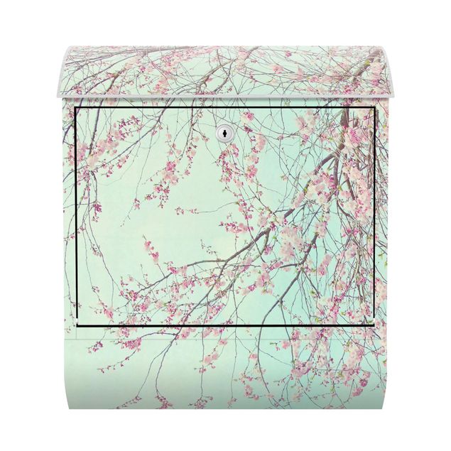 Cuadros de Monika Strigel Cherry Blossom Yearning