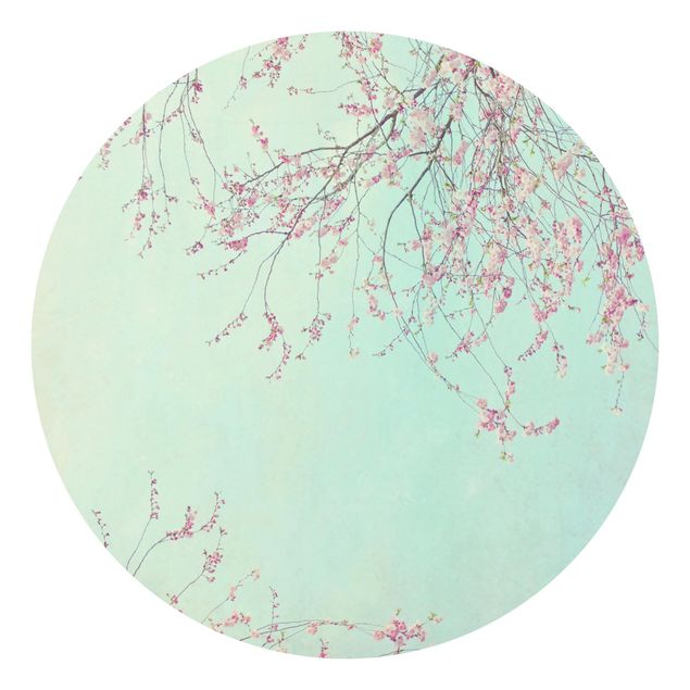 Papel pintado Cherry Blossom Yearning