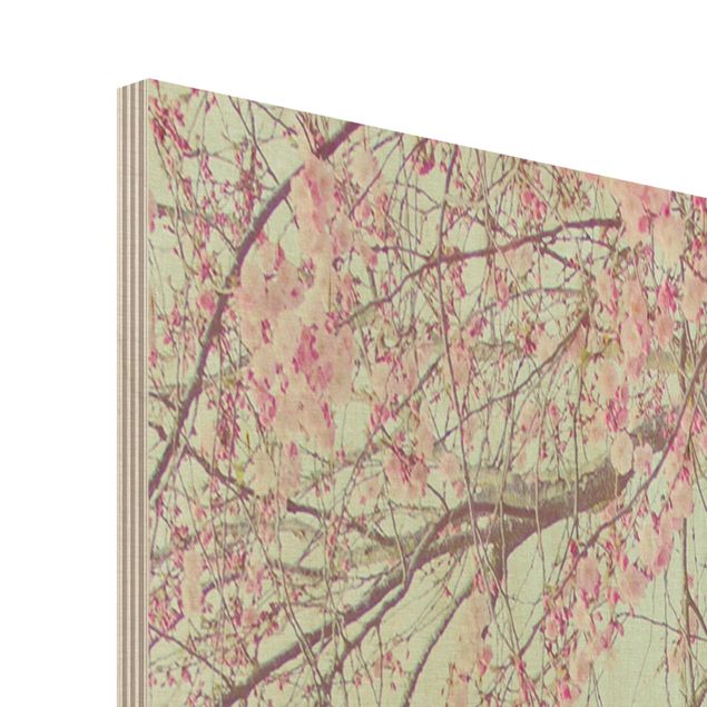 Cuadros de madera Cherry Blossom Yearning