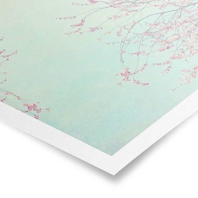 Cuadros azul turquesa Cherry Blossom Yearning