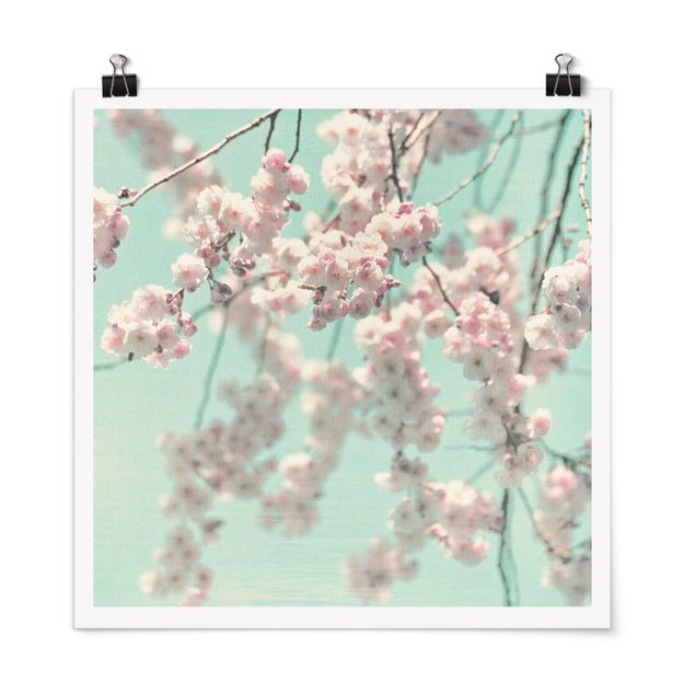 Cuadros flores Dancing Cherry Blossoms On Canvas
