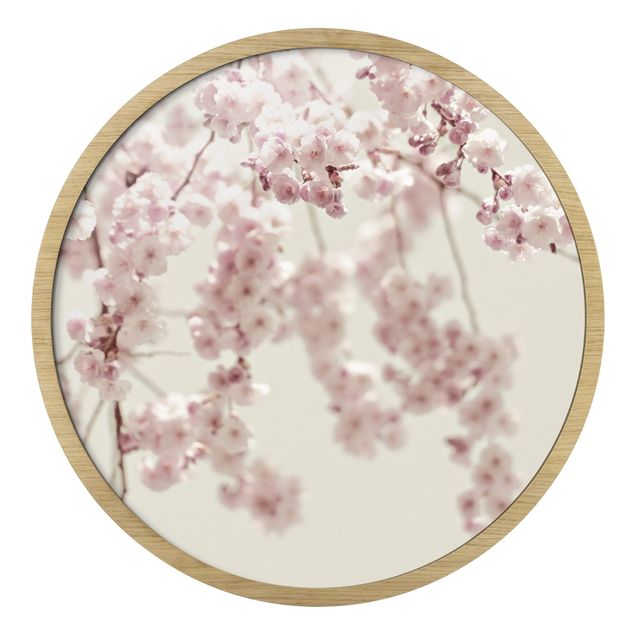 Cuadros de Monika Strigel Dancing Cherry Blossoms