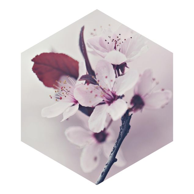Cuadros de Monika Strigel Cherry Blossom Branch Antique Pink