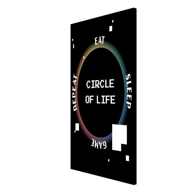 Cuadros decorativos modernos Classical Video Game Circle Of Life