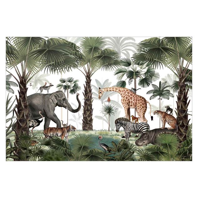 Papel pintado moderno Kingdom of the jungle animals