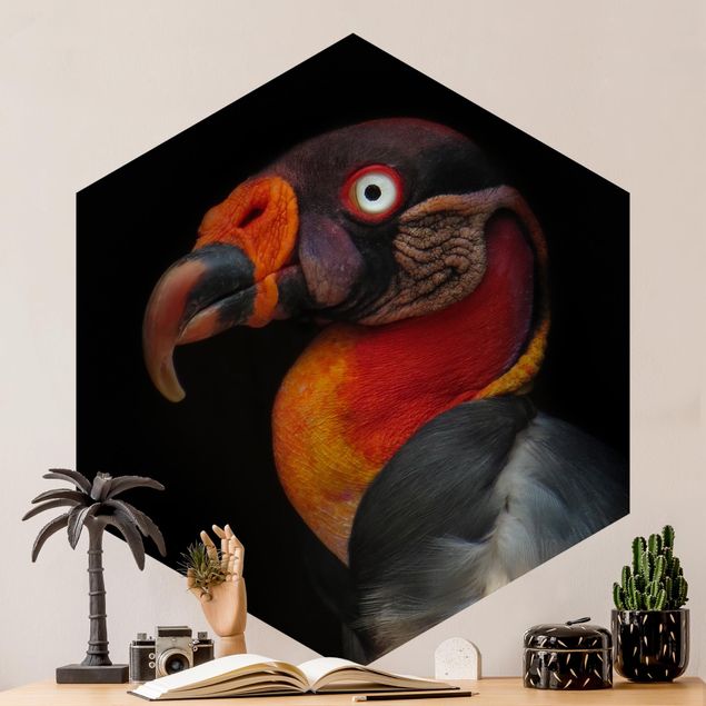Papel pintado aves King Vulture In Front Of Black
