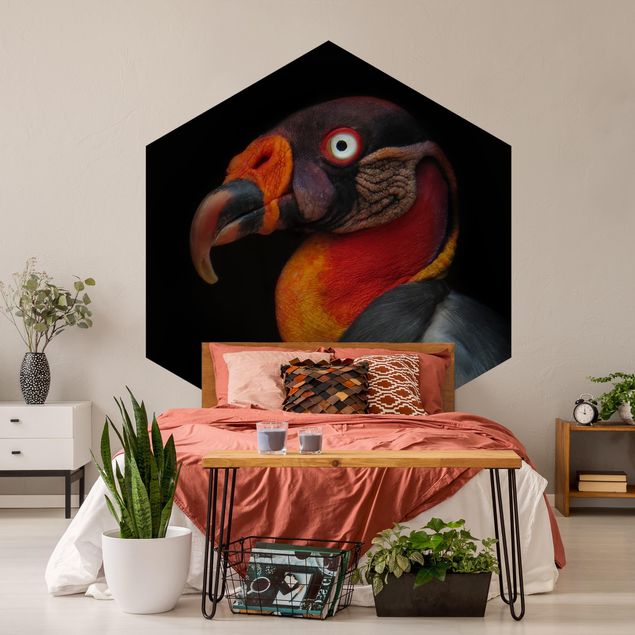 Papel pintado salón moderno King Vulture In Front Of Black