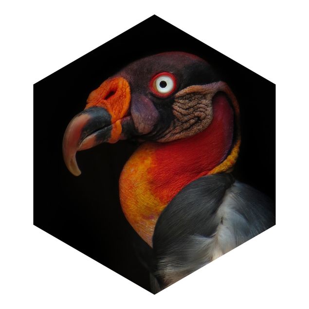 Papel pintado negro King Vulture In Front Of Black