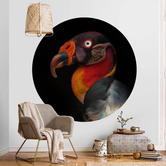 Papel pintado aves King Vulture In Front Of Black