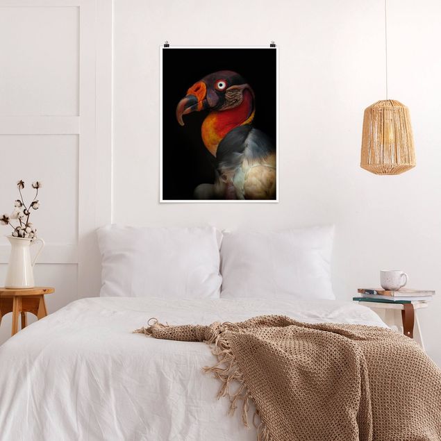 Póster animales King Vulture In Front Of Black