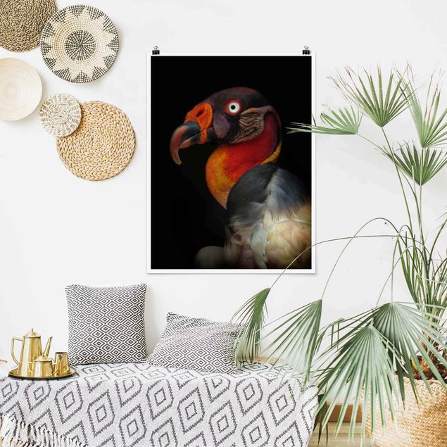 Cuadros modernos King Vulture In Front Of Black