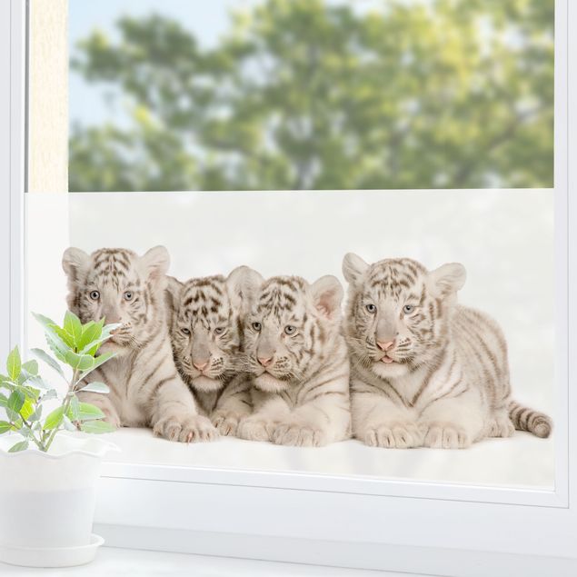 Decoración habitación infantil Bengal Tiger Babies