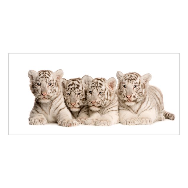 Vinilos para cristales animales Bengal Tiger Babies