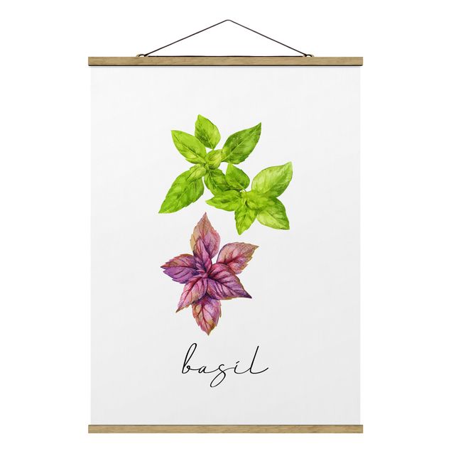 Cuadros flores Herbs Illustration Basil