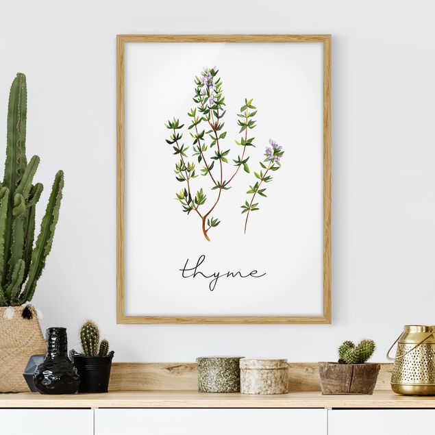 Pósters enmarcados flores Herbs Illustration Thyme